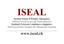 «Diaspora, levë ekonomike transnacionale?»