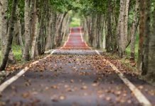 Rrëfime nga lufta – Pjesa e parë