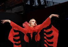 KOSOVË, URIME DHJETËVJETORI I PAVARËSISË! Photo: Fadil Berisha, New York