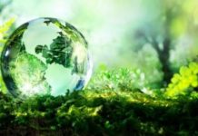 Dita Ndërkombëtare e Biodiversitetit