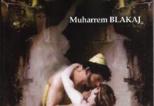 Ornela Radovicka – kritikë për romanin „Zana e Shën Martinit“