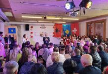 Aftësitë gjuhësore arsimore si parakusht për një karrierë të suksesshme