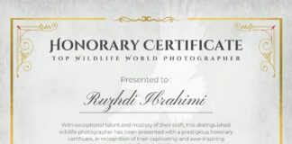 Ruzhdi Ibrahimi – Fotograf i Çertifikuar i Jetës së Egër