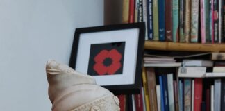 Në poezinë e Musa Jupollit, kapilarët e vargjeve pikëzojnë idioma klasike e romantike