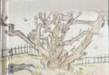 Musa Jupolli: BARDHEC BERISHA „RËNKIMI I MALIT TË FËMIJËRISË SIME“