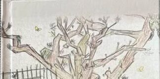 Musa Jupolli: BARDHEC BERISHA „RËNKIMI I MALIT TË FËMIJËRISË SIME“