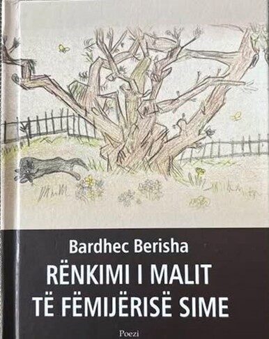 Musa Jupolli: BARDHEC BERISHA „RËNKIMI I MALIT TË FËMIJËRISË SIME“