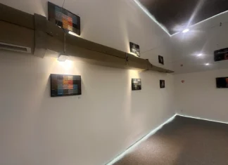 Arti i pikselit